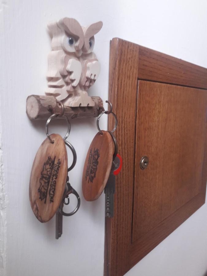 Palazzo Urbani Appartement Orvieto Buitenkant foto